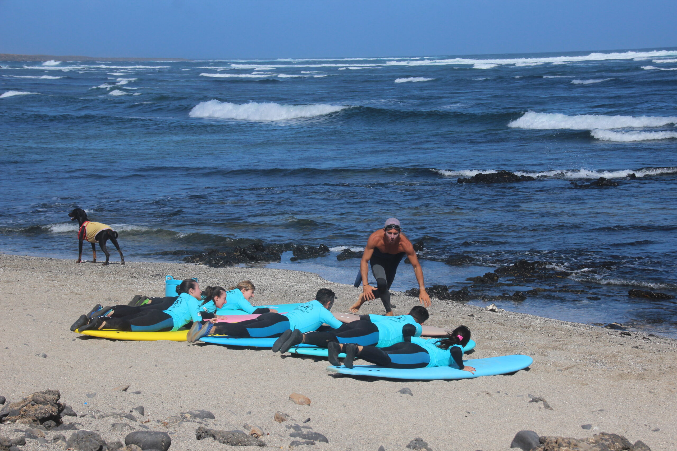 curso de surf fuerteventura