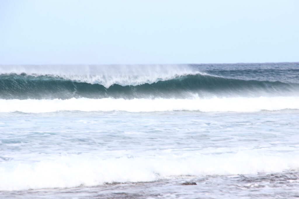 winter surf fuerteventura